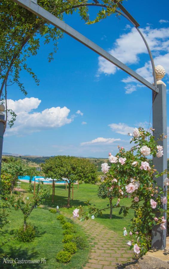 كالتاجيروني Villa D'Andrea المظهر الخارجي الصورة