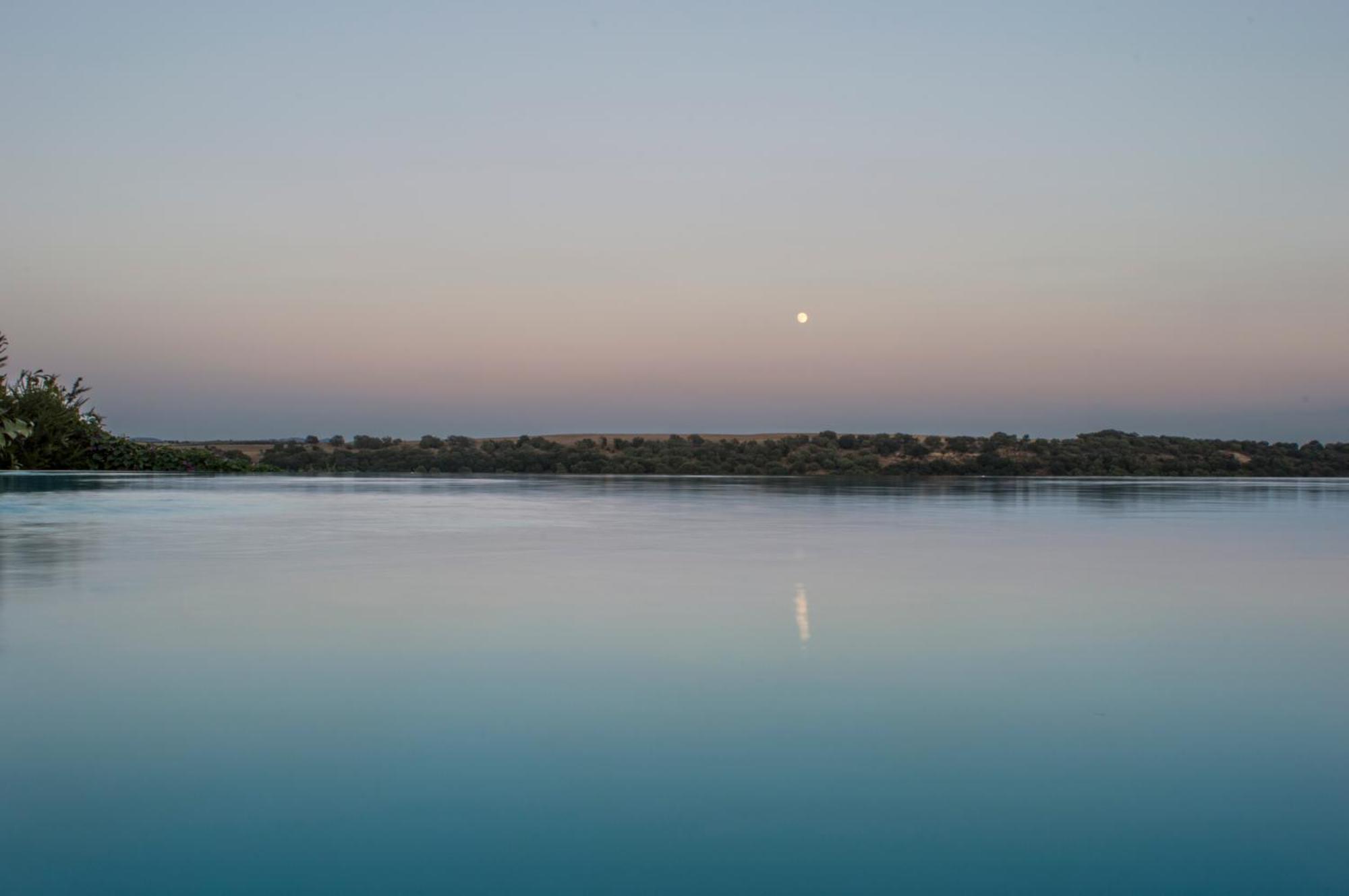 كالتاجيروني Villa D'Andrea المظهر الخارجي الصورة